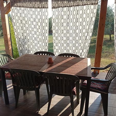 Nature Home Eco-Friendly Pet-Friendly Fažana Buitenkant foto