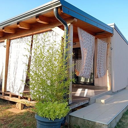 Nature Home Eco-Friendly Pet-Friendly Fažana Buitenkant foto