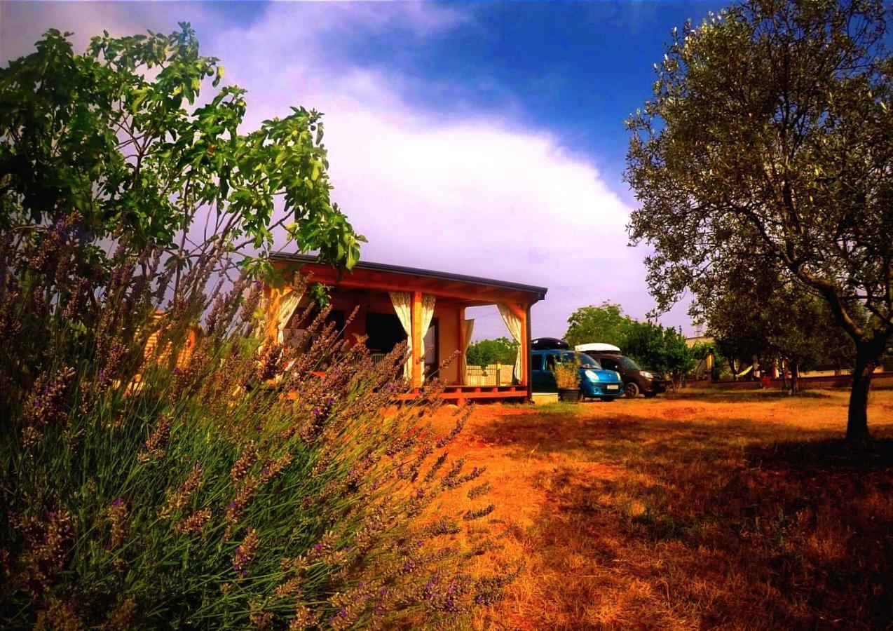 Nature Home Eco-Friendly Pet-Friendly Fažana Buitenkant foto