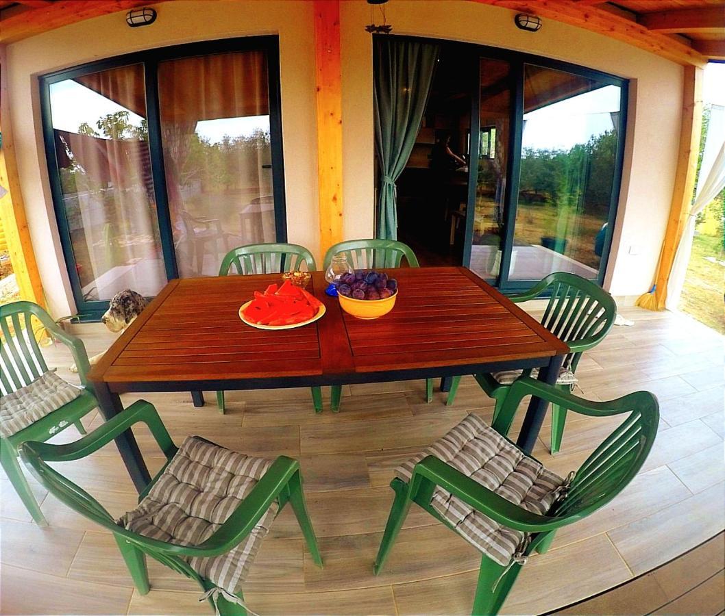 Nature Home Eco-Friendly Pet-Friendly Fažana Buitenkant foto